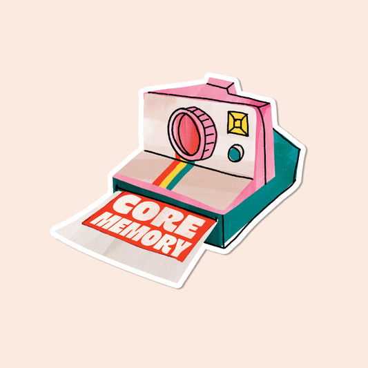 Polaroid Vinyl Sticker